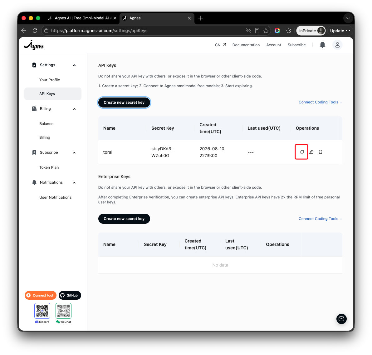Open the Agnes AI website
