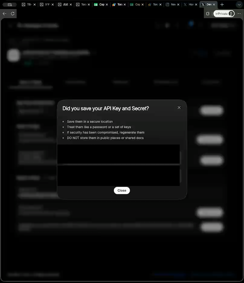 API Key and API Key Secret dialog with credential values redacted