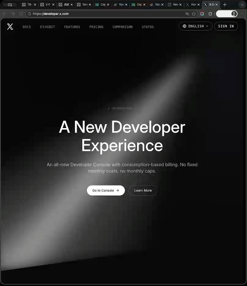 X Developer Platform home page with the Go to Console button
