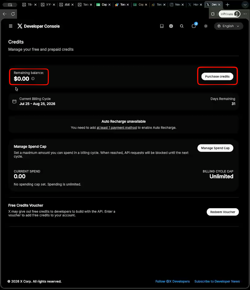Credits page with the Purchase credits button