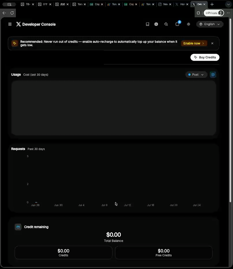 Developer Console dashboard showing usage and credit balance