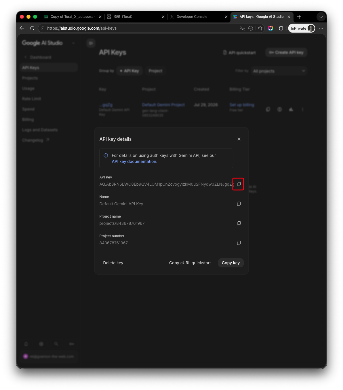 Copy Gemini API key