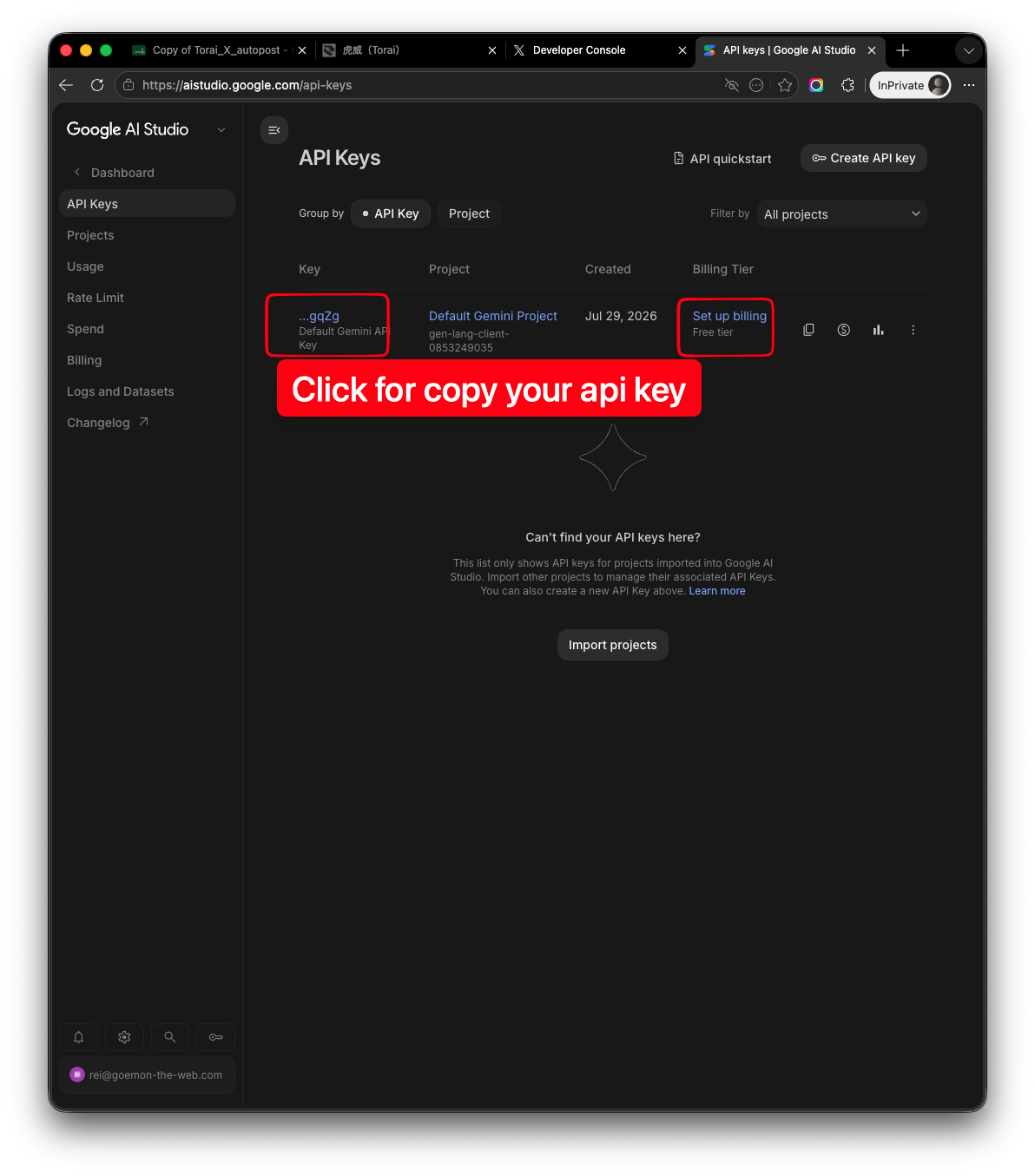 Gemini API key